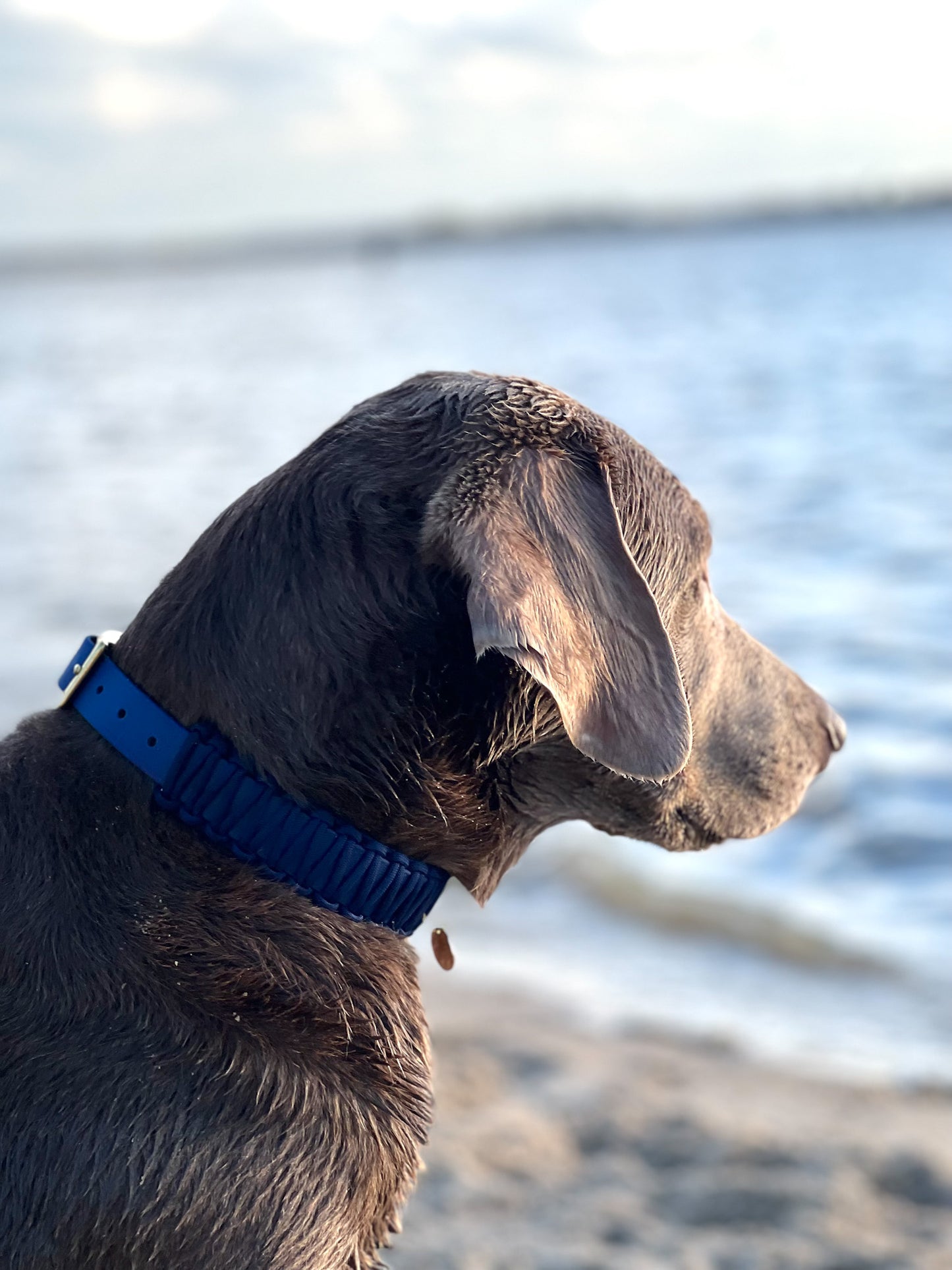 BioThane® / Paracord Halsband - "HANSEATIC-BLAU"