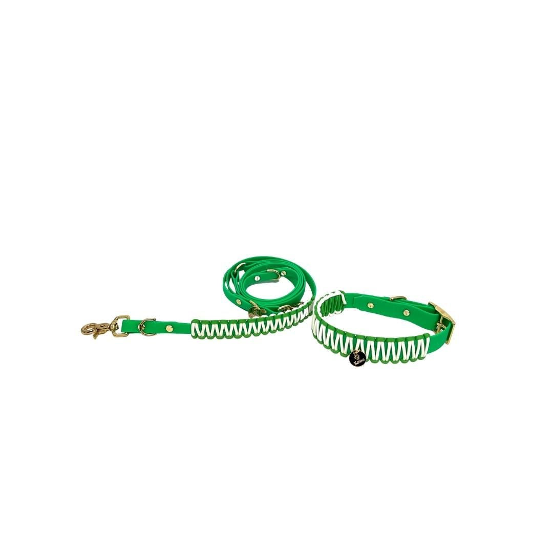 BioThane® Leine "Neon Grün"