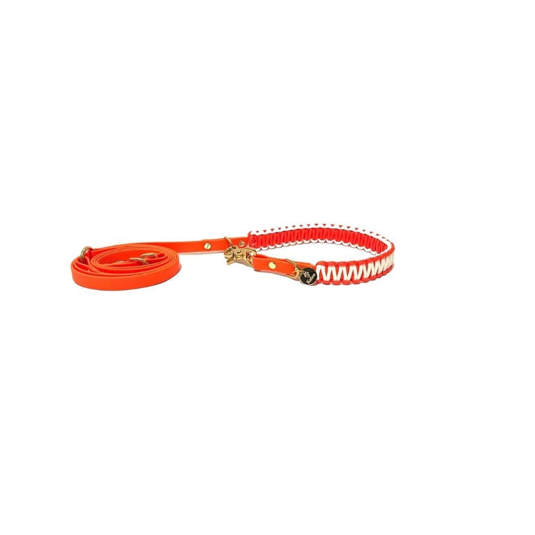 BioThane® Leine "Neon Orange"