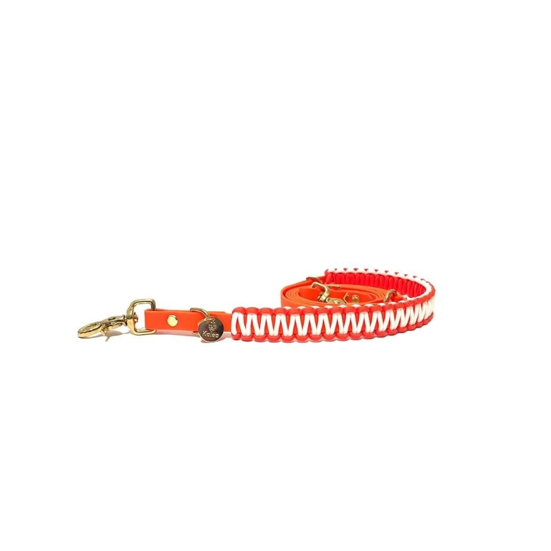 BioThane® Leine "Neon Orange"