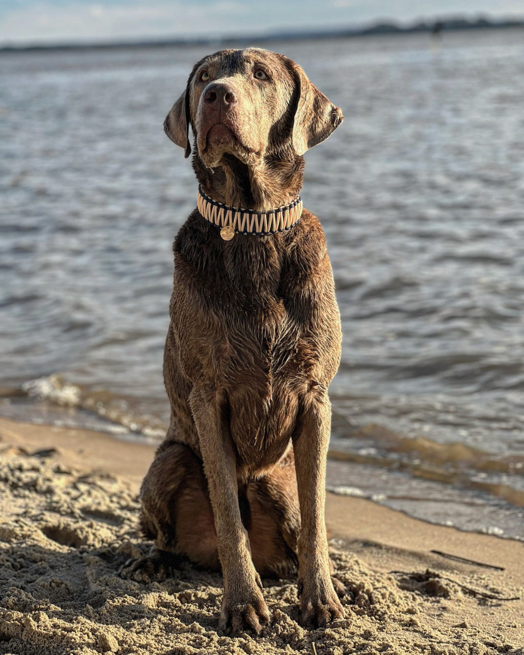 BioThane® / Paracord Halsband - "Fiete"