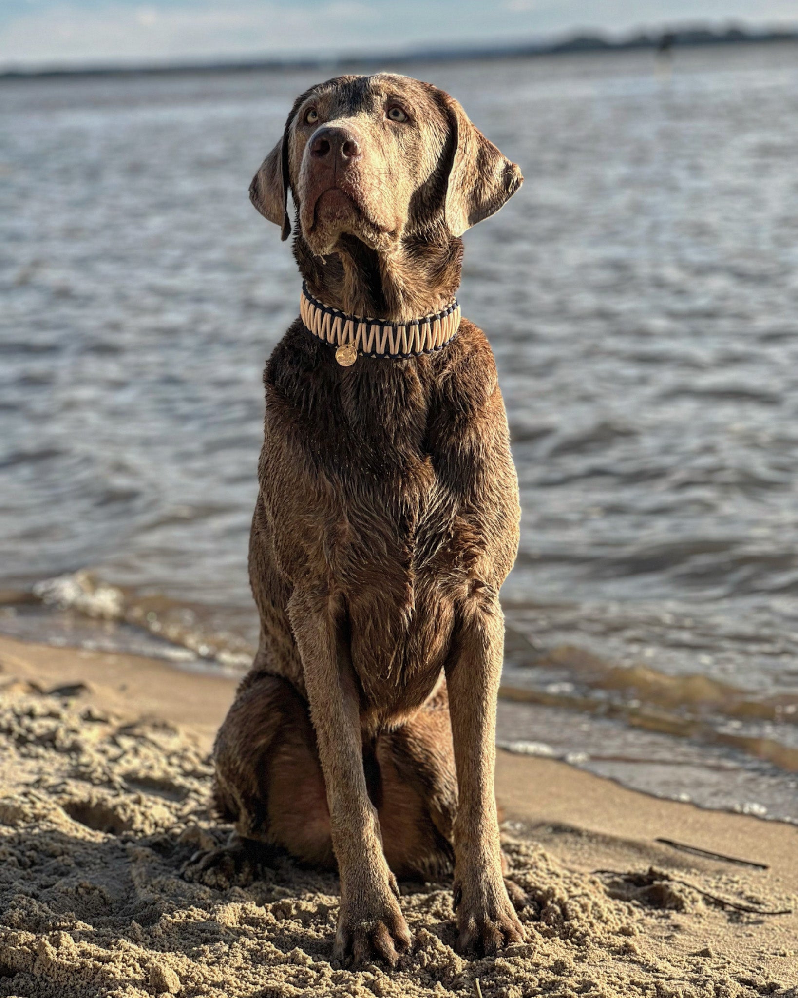 BioThane® / Paracord Halsband - "Fiete"