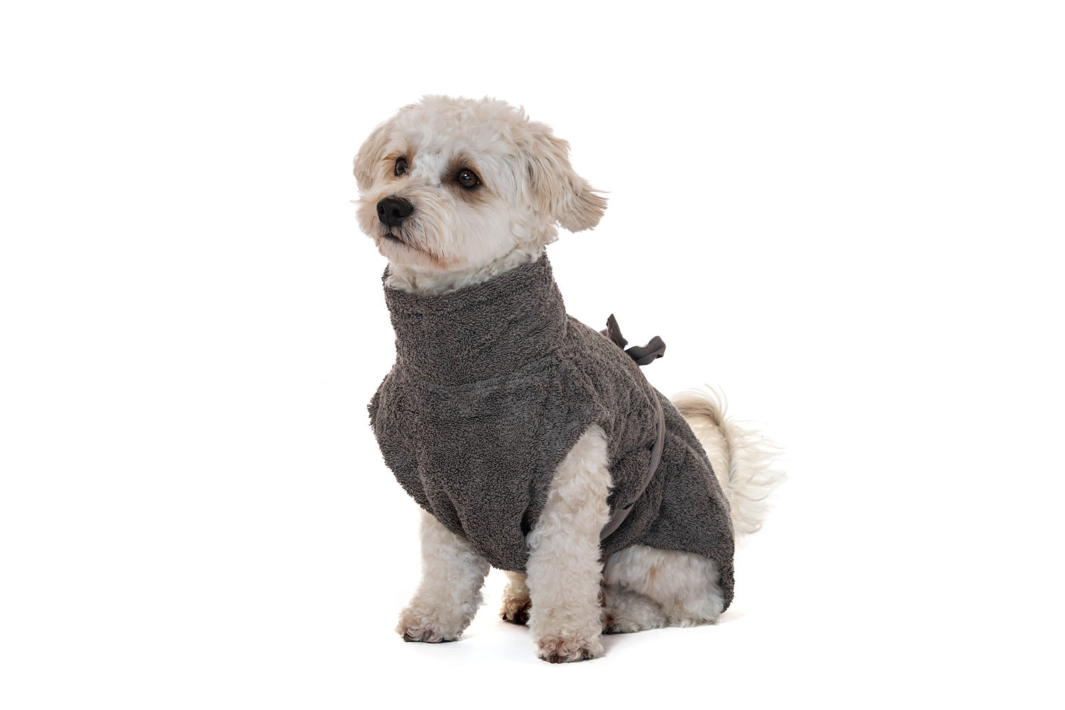 Hundebademantel aus Bio-Baumwolle "Stone Grey"