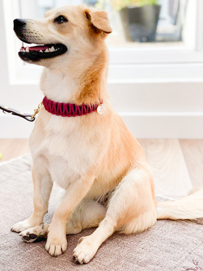 BioThane® / Paracord Halsband - "Matilda"