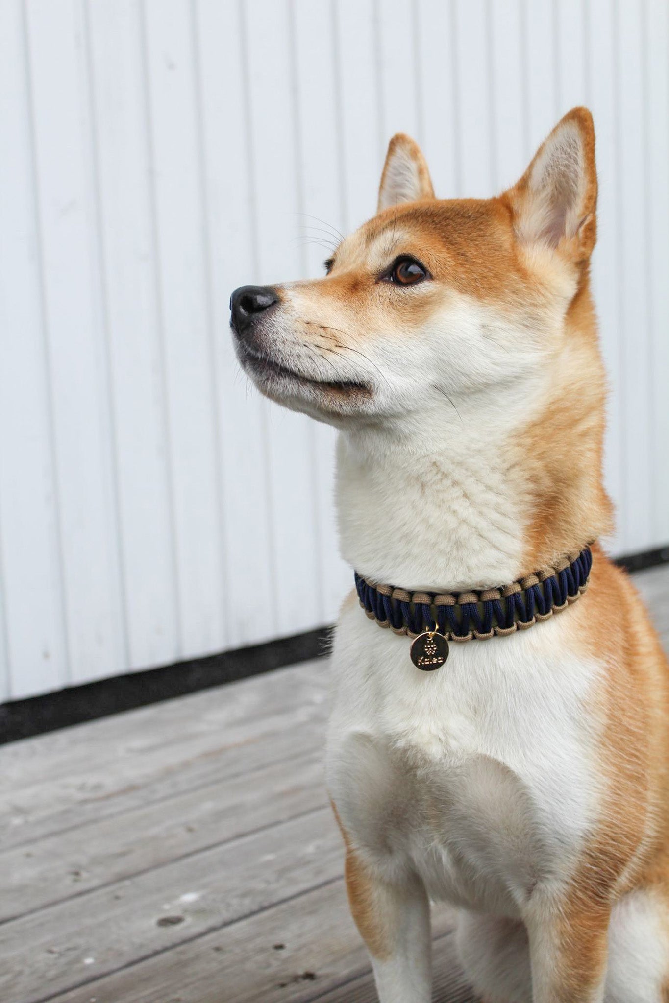 Partnerkollektion - BioThane® / Paracord Halsband - "Yuki"