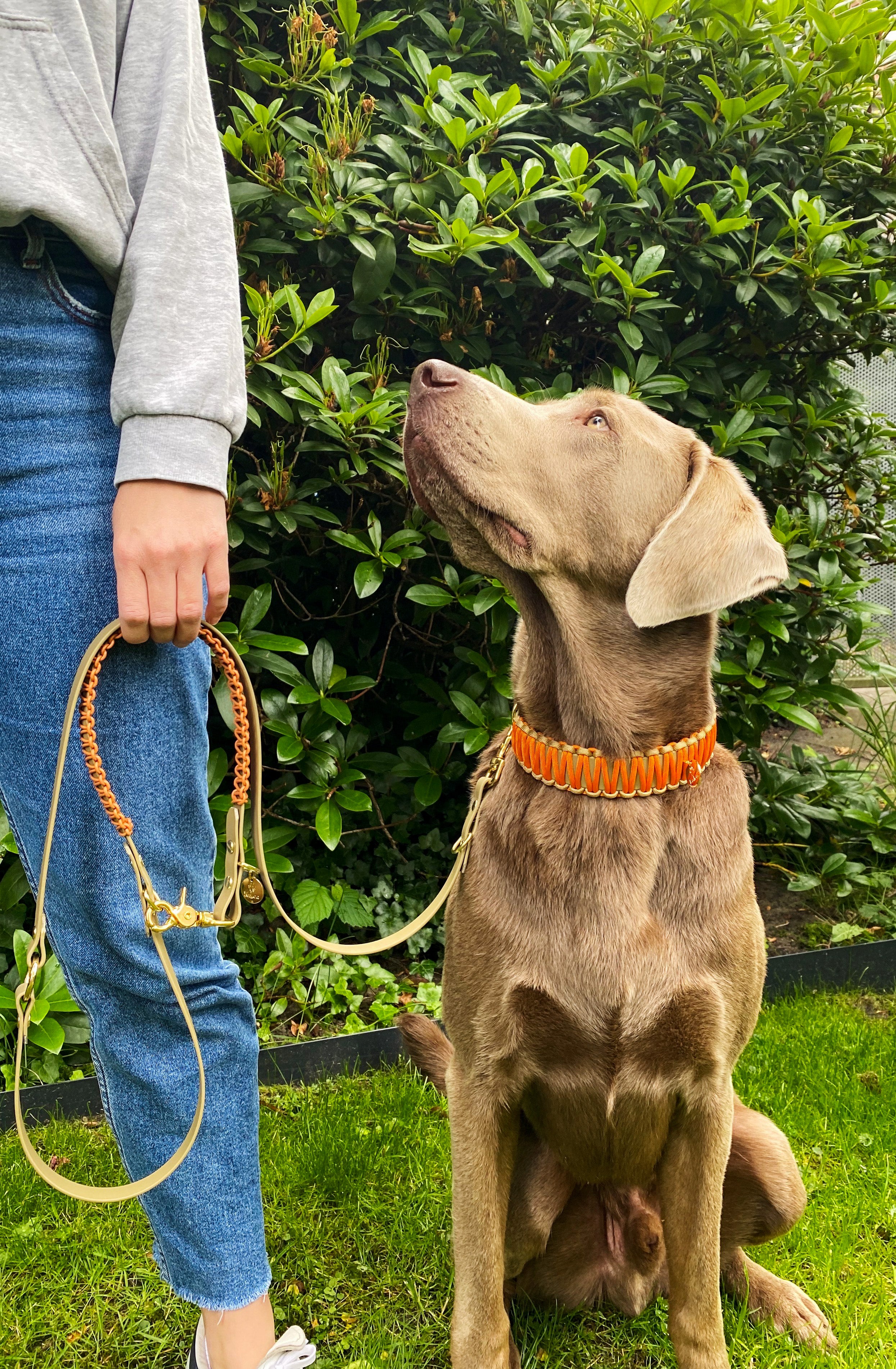 BioThane® Leine "Karl"