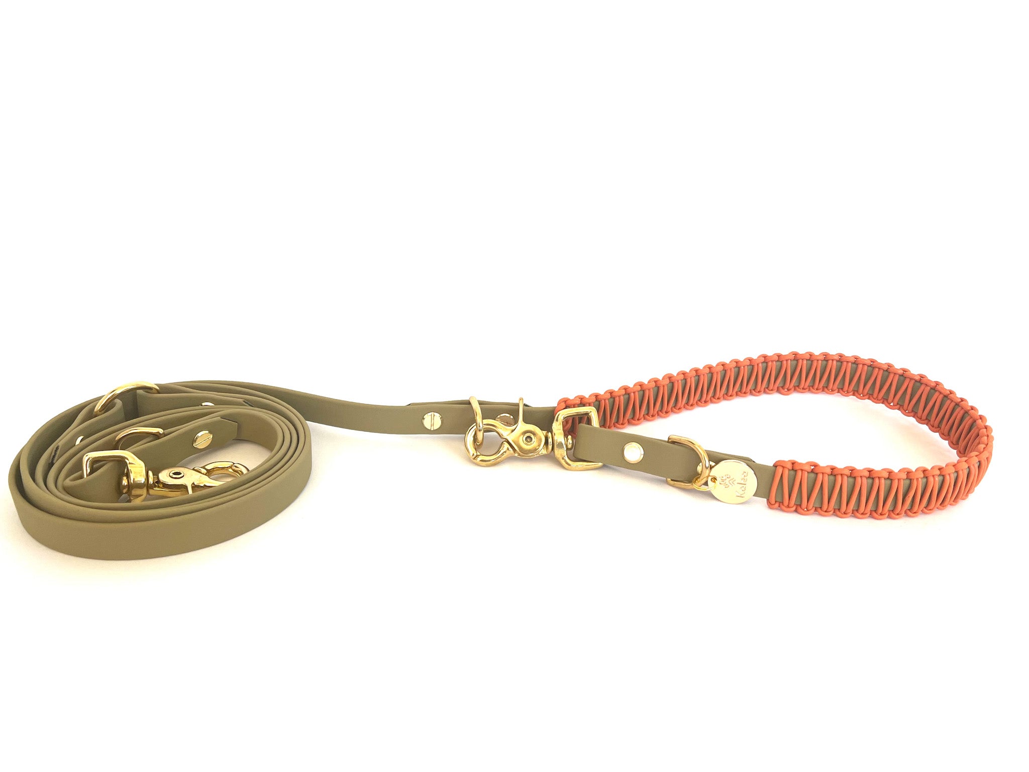 BioThane® Leine "Karl"