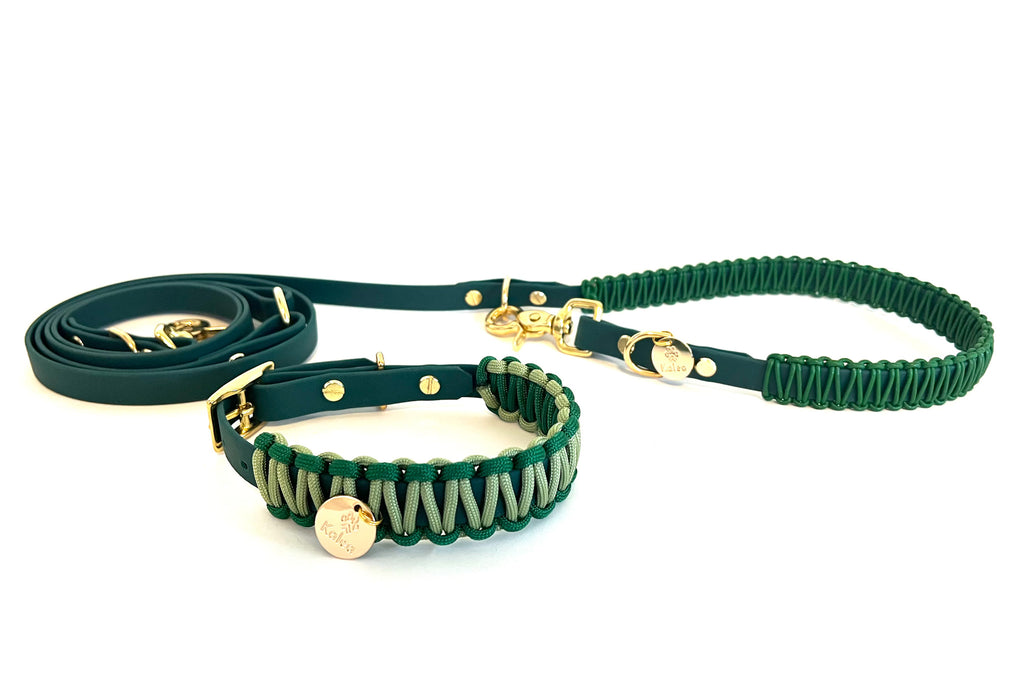 BioThane® Leine "Theo"