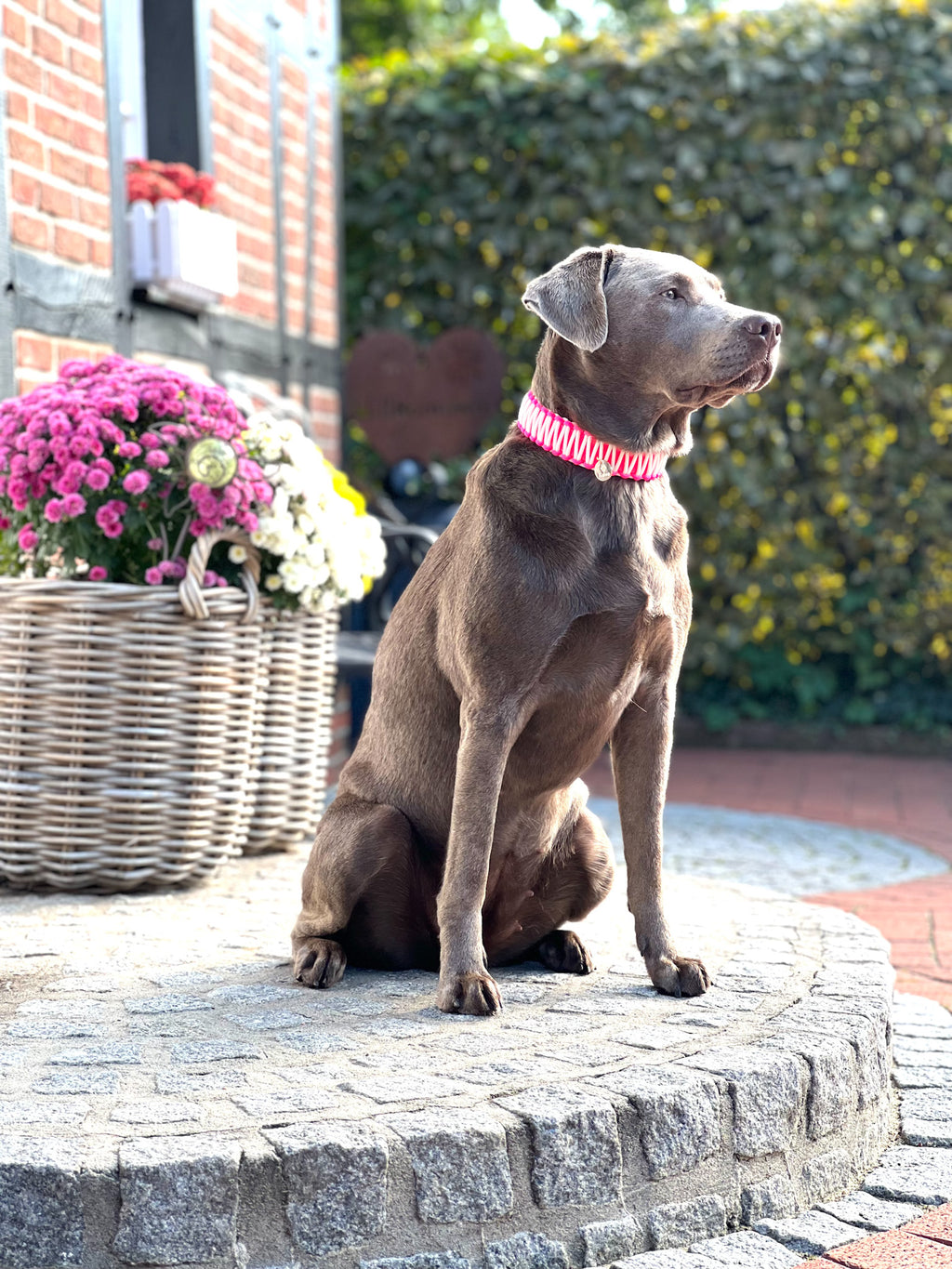 BioThane® / Paracord Halsband - "NEON PINK"