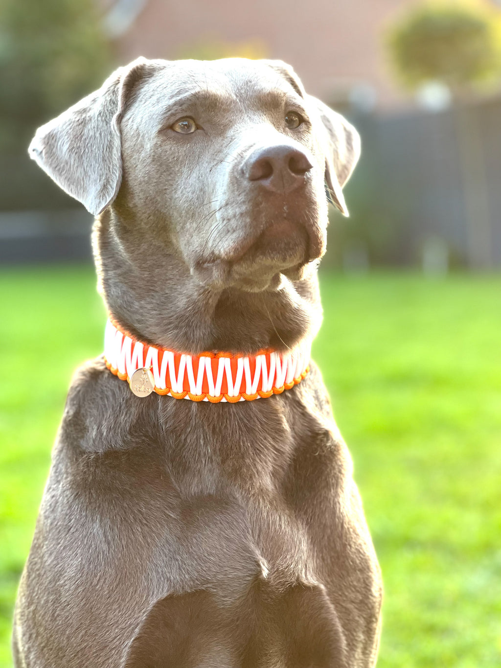 BioThane® / Paracord Halsband - "NEON ORANGE"