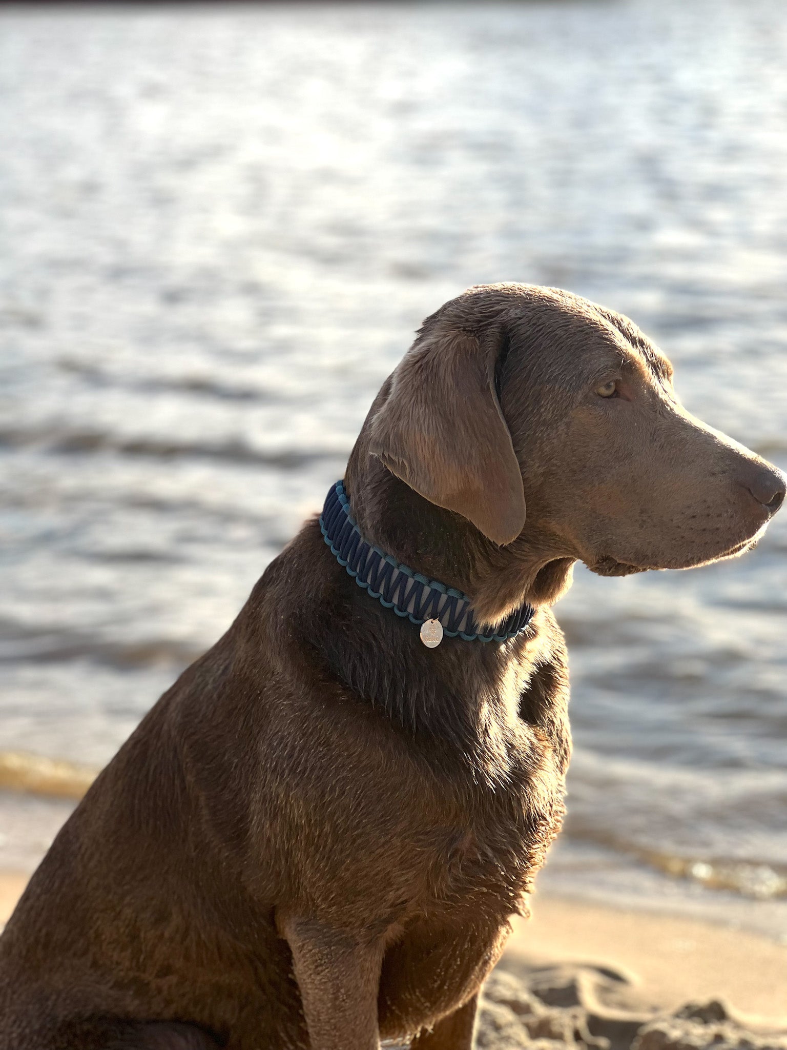 BioThane® / Paracord Halsband - "Emilia"