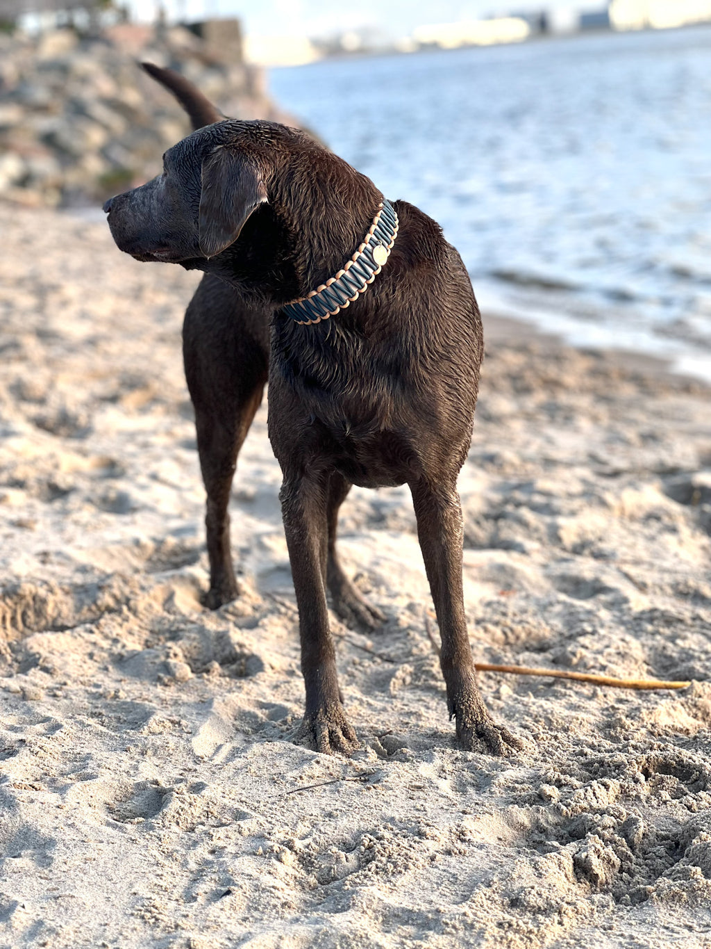 BioThane® / Paracord Halsband - "Lola"