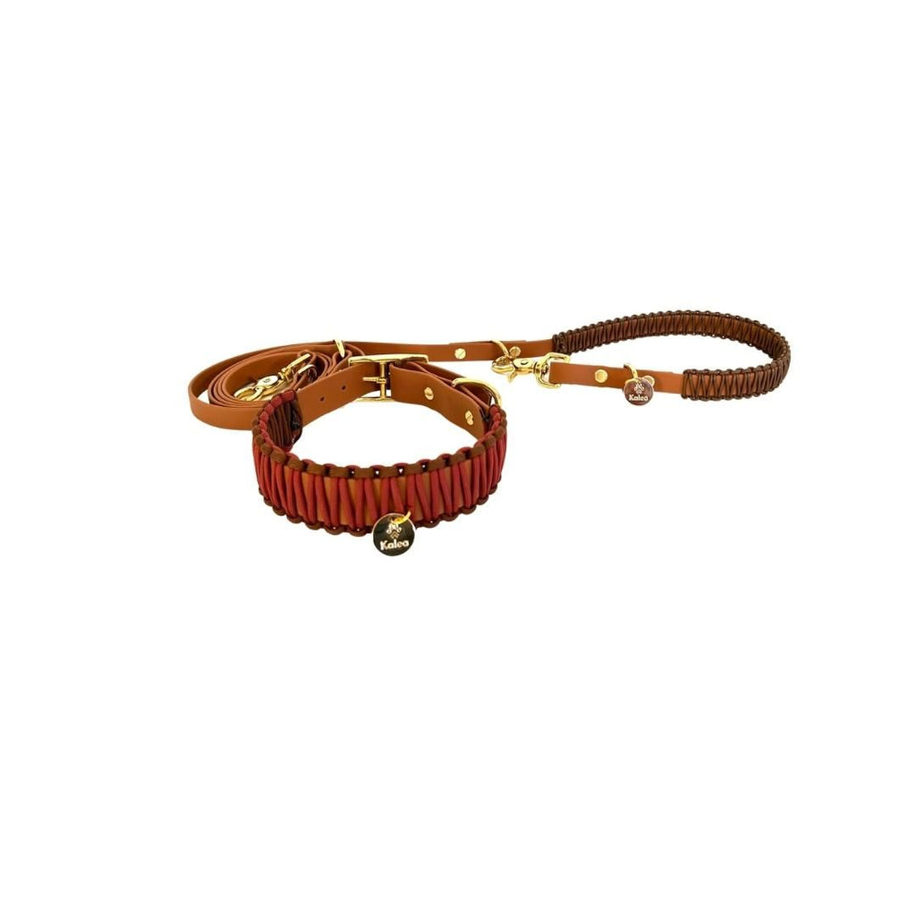 BioThane® Leine "Anton"