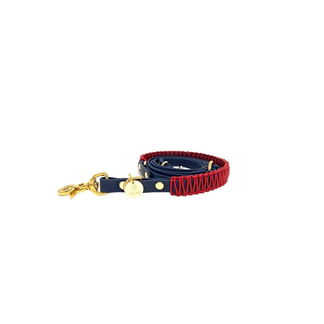 BioThane® Leine "Henri"