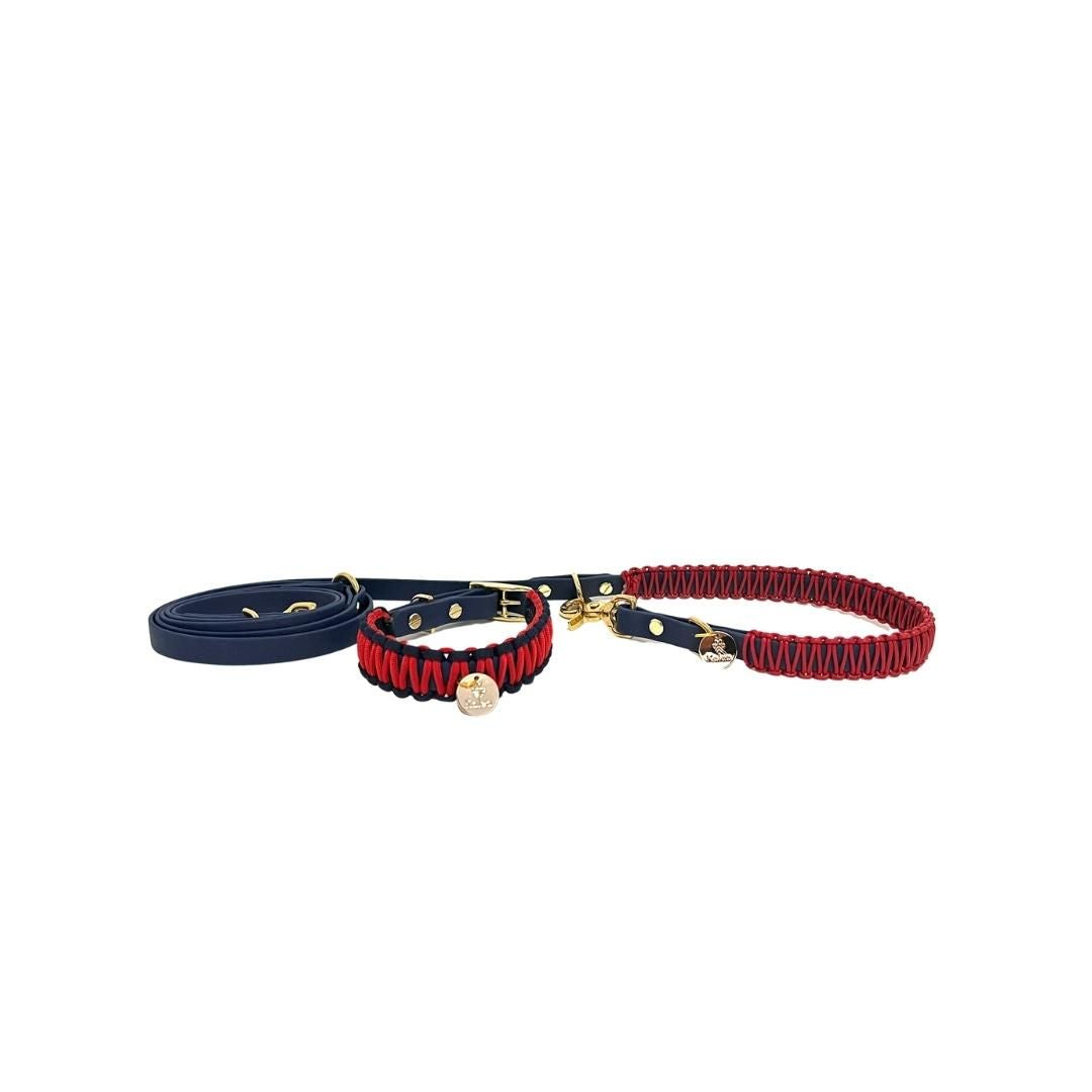 BioThane® Leine "Henri"